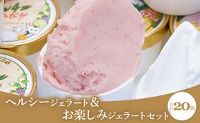 ドルチェかがみ ヘルシージェラート&お楽しみジェラートセット 20個入り dc-0065