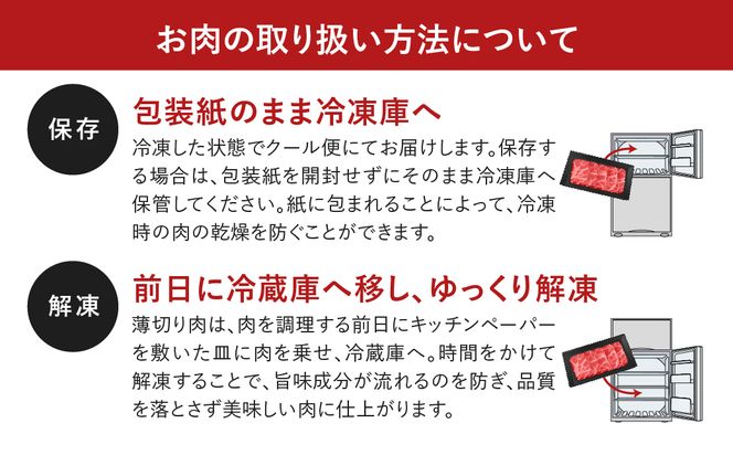 自家製 ハンバーグ 食べ比べ 12個セット ( 6個 × 2種類 ) 小分 パック 冷凍保存 肉 牛肉 おかず お弁当  人気 ランキング おすすめ グルメ ギフト 福島県 田村市 福島 ふくしま 川合精肉店 N09-P20-01