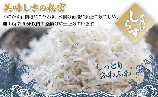 しらす干し 釜揚げしらす 合計460g（230g×2パック） パック - シラス かまあげ しらす丼 魚介 シーフード 海産物 新鮮 小分け ギフト 贈答 国産 海の幸 ヤマナカ水産 高知県 香南市【冷凍】 ym-0008