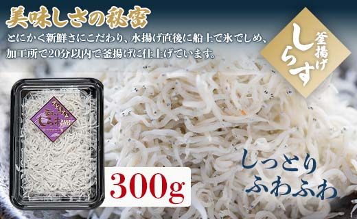 しらす 釜揚げしらす「銀凪」入３点セット(合計700ｇ)  - シラス かまあげ しらす丼 魚介 シーフード 海産物 新鮮 小分け ギフト 贈答 国産 海の幸 ヤマナカ水産 高知県 香南市【冷凍】 ym-0009