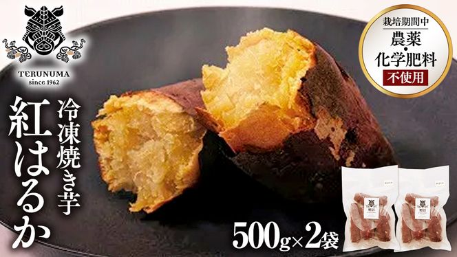 冷凍 焼き芋 1kg(500g×2袋) ギフト BOX 入 つくばみらい さつまいも 紅はるか いも 照沼 食物繊維 農薬不使用 化学肥料不使用 不使用 [DY07-NT]