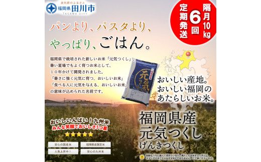 【定期便/隔月】 福岡県産元気つくし 10kg×6回 お取り寄せグルメ　お取り寄せ 福岡 お土産 九州 ご当地グルメ 福岡土産 取り寄せ グルメ 福岡県 食品