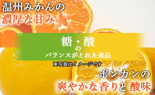 間城農園 みかんとポンカンミックスジュース720ml 1本 無添加 ストレート 贈答・ギフト対応可 ms-0038