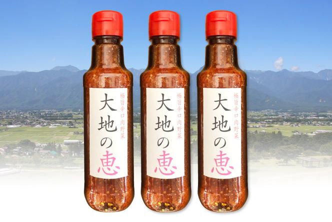 にんにくドレッシング 「大地の恵」 中辛 200ml×3本 [矢口農園 長野県 池田町 48110488] 