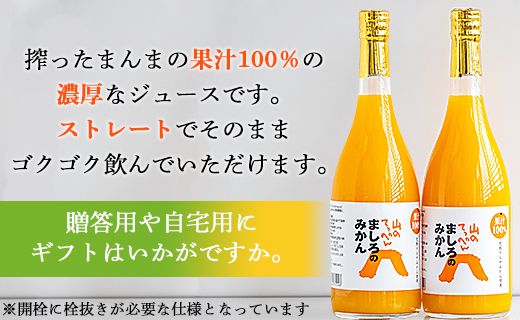 間城農園 100％ストレートジュース(温州みかん)720ml 2本 無添加 贈答・ギフト対応可 ms-0047