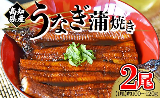[大人気!]高知県産養殖うなぎ蒲焼き 2尾(合計200g以上) - 鰻 ウナギ fb-0142