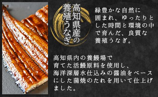 鰻 フジ物産 国産養殖うなぎ蒲焼き 約200g×2尾(高知県産鰻) fb-0011