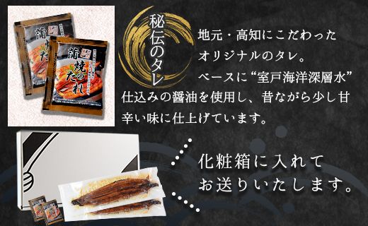 鰻 フジ物産 国産養殖うなぎ蒲焼き 約200g×2尾(高知県産鰻) fb-0011