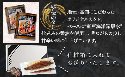 国産 うなぎ 定期便 12回 約220g 3尾 蒲焼き 高知県産 養殖 魚介 国産 海鮮 魚 かばやき 鰻 ウナギ 惣菜 おかず お手軽 加工品 加工食品 冷凍 Wfb-0068