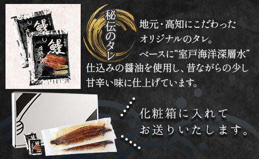 国産 うなぎ 定期便 3回 約220g 3尾 蒲焼き 高知県産 養殖 魚介 国産 海鮮 魚 かばやき 鰻 ウナギ 惣菜 おかず お手軽 加工品 加工食品 冷凍 Wfb-0066