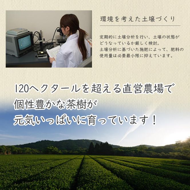 あらびき茶５袋セット a2-106