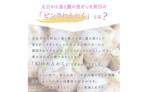 北海道常呂産 黒にんにく 100g×3 ( 北海道産 野菜 にんにく ニンニク )【009-0002】