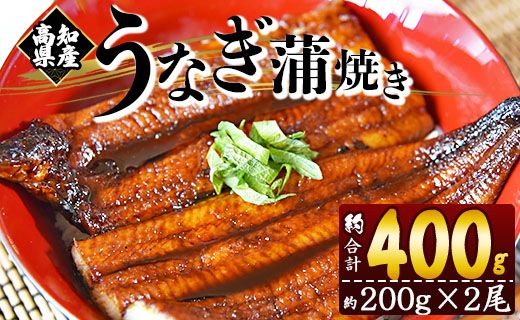 うなぎ 蒲焼き 約200g×2尾 (高知県産鰻) 鰻 フジ物産 国産 養殖 fb-0011