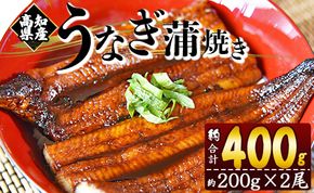 うなぎ 蒲焼き 約200g×2尾 (高知県産鰻) 鰻 フジ物産 国産 養殖 fb-0011