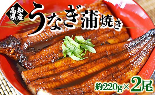 国産 うなぎ蒲焼き 2尾(合計約440g) 養殖 高知県産鰻 - 鰻 ウナギ かばやき 蒲焼 土用の丑の日 スタミナ 夕飯 有頭 約220g fb-0140