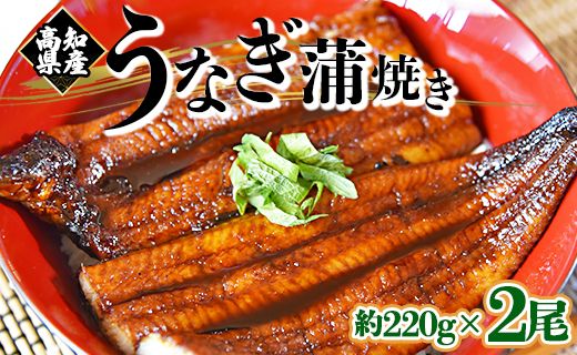 国産養殖うなぎ蒲焼き 2尾(合計約440g)高知県産鰻 - 鰻 ウナギ かばやき 蒲焼 土用の丑の日 スタミナ 夕飯 有頭 約220g 丼物 さかな おいしい タレ付き たれ おいしい 美味しい ひつまぶし 丼ぶり 贅沢 ぜいたく お取り寄せ おとりよせ パック お祝い 内祝い 御礼 お礼 お歳暮 うなぎ大好き お礼 御礼 挨拶 あいさつ 贈り物 送料無料 高知県 香南市 冷凍 fb-0012