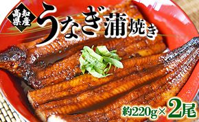 国産 うなぎ蒲焼き 2尾（合計約440g） 養殖 高知県産鰻 - 鰻 ウナギ かばやき 蒲焼 土用の丑の日 スタミナ 夕飯 有頭 約220g fb-0140