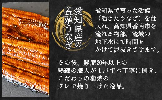 フジ物産 国産養殖うなぎ蒲焼き 約200g×2尾(愛知県産鰻) fb-0013