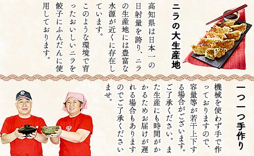 ニラのまち香南市 香南ニラ餃子28個 tw-0006