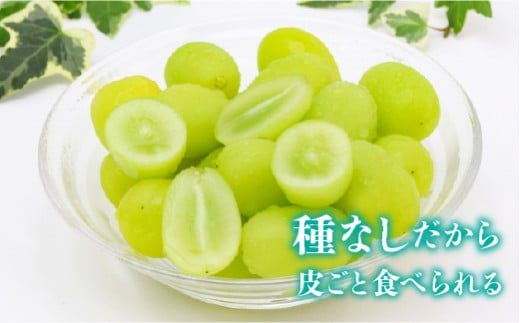 【2026年発送★先行予約】笛吹市産シャインマスカット1キロ以上（2房）　※クール便配送 113-003-26y