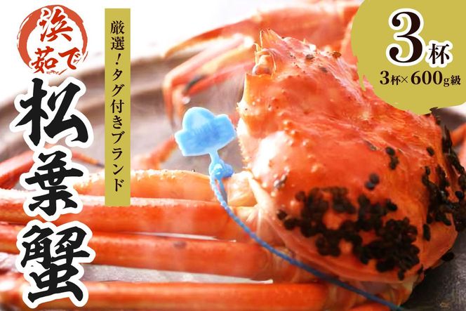 【厳選！！タグ付きブランド】　茹で松葉かに（中）　鮮度抜群、浜茹でにてお届け！！ 600g級×3杯 YK00438