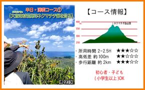 沖縄県北部やんばる・大宜味村最高峰ネクマチヂ岳を登る【2名様】