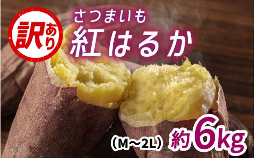 yxRszys\z Tc}Cig͂邩jTCYs̖󂠂iM`2Lj6kg 10{珇\