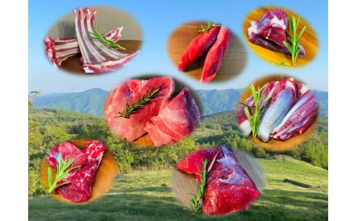 [ジビエ]大槌産 鹿肉400g[0tsuchi00458]