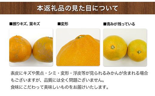ご家庭用『菅本果実園』のご家庭用みかん★約5kg(2S-2Lサイズ)  フルーツ 秋 旬【日付指定不可】★熊本県玉名郡玉東町 全国にファン多数！エコファーマー菅本さんのみかん♪『菅本果実園』ちょこっと訳あり《11月中旬-12月末頃出荷》---sg_wsugamikan_bc11_25_7000_5kg---
