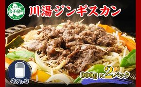 2525. ジンギスカン 塩ダレ 300g 2パック 羊肉 焼肉 味付け肉 BBQ バーベキュー お取り寄せ 冷凍 郷土料理 プレゼント 贈り物 gift 送料無料 北海道 弟子屈町