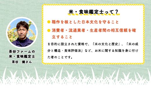 【5年産】近江米　コシヒカリ 白米【5kg×1袋】【V011SM1】