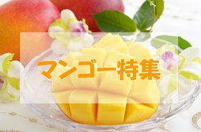 ふるさと納税「マンゴー」の人気返礼品ランキングベスト10！