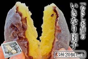 むさし本舗のいきなり団子 20個入り(黒粒7個、黒こし7個、白あん6個) 熊本県長洲町 《60日以内に出荷予定(土日祝除く)》---sn_fmusasidango_60d_21_10500_20p---