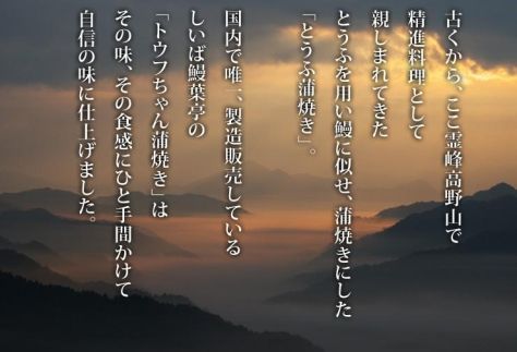豆腐と海苔で作った美味くてヘルシートウフちゃん蒲焼　5本セット【鰻ではありません】