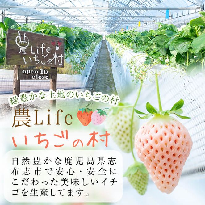 鹿児島県産いちご！ 品種おまかせ赤いちご8Pセット(計2kg・約270g×8P) c0-016