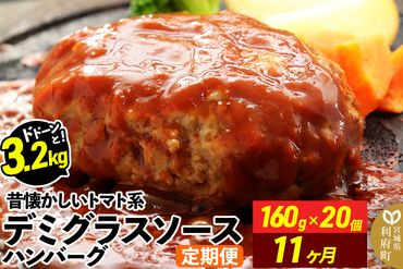 《定期便11ヶ月》ドドンと3.2kg！昔懐かしいトマト系デミグラスソースハンバーグ (160g×20個)×11回 肉 洋食 簡単 大容量 湯煎 湯せん 個包装|06_thm-040611