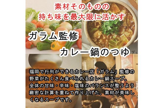 カレー鍋のつゆ 4人前 500g×2 スパイス付 [キヨトク 福岡県 筑紫野市 21760717] カレー 鍋 鍋の素 出汁 スープ 本格カレー