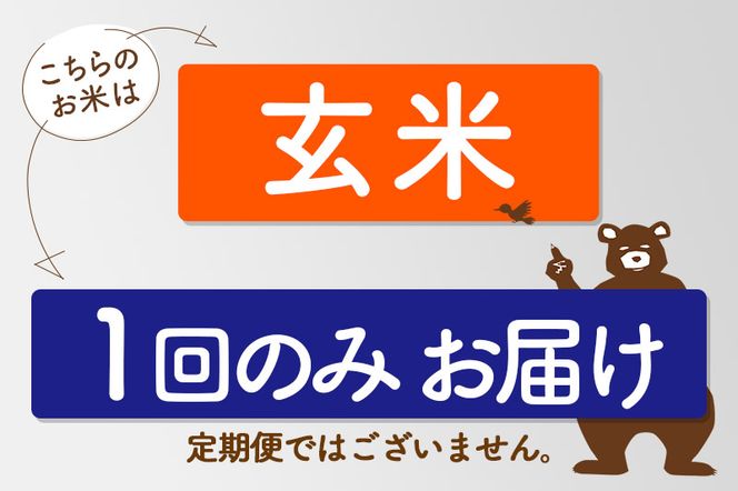 R8産 新米予約 秋田県産 あきたこまち 4kg【玄米】(2kg小分け袋)【1回のみお届け】2026年産 令和8年産 お米 おおもり [おおもり 秋田 お米 あきたこまち 米どころ 東北 北秋田市]|oomr-20201s