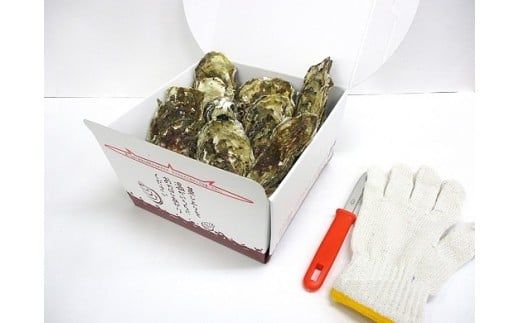 【2025年11月下旬より発送】【レンジでチンするだけ】蒸し牡蠣セット約10個 (約700g)【0tsuchi00645】