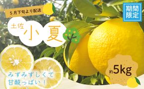 24-1063．【早期受付・期間限定・数量限定】爽やかな酸味がたまらない!!四万十市産ハウス小夏(贈答用) 約5kg(18～30個)【2025年5月下旬～6月下旬発送】