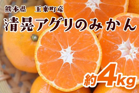 『清晃アグリ』のみかん★約4kg(2S-2Lサイズ) 予約受付中 フルーツ 秋 旬★熊本県玉名郡玉東町 健康な土で育つジューシーおいしいみかん![11月中旬-12月末頃出荷(土日祝除く)]---sg_agurimikan_bc11_24_8500_4kg---