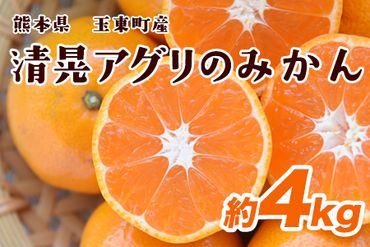 『清晃アグリ』のみかん★約4kg(2S-2Lサイズ) 予約受付中 フルーツ 秋 旬★熊本県玉名郡玉東町 健康な土で育つジューシーおいしいみかん！《11月中旬-12月末頃出荷(土日祝除く)》---sg_agurimikan_bc11_24_8500_4kg---