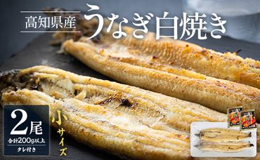 高知県産うなぎの白焼き 小サイズ 2尾(合計200g以上) タレ付き - 鰻 ウナギ 有頭 スタミナ 夕飯 おつまみ 丼 のし対応可 ギフト 贈答  贈り物 吉川水産 高知県 香南市【冷凍】 yw-0043