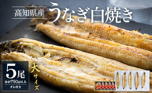 吉川水産 高知県産うなぎの白焼き 大サイズ(150～180g)×5尾 - タレ付き 鰻 ウナギ 国産 yw-0068