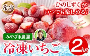 冷凍いちご 約2kg みやざき農園《30日以内に順次出荷(土日祝除く)》熊本県 氷川町 いちご イチゴ ひのしずく 国産 冷凍いちご フルーツ ストロベリー 冷凍 お菓子作り 送料無料 ---sh_fmiyayufarm_30d_25_15000_2kg---