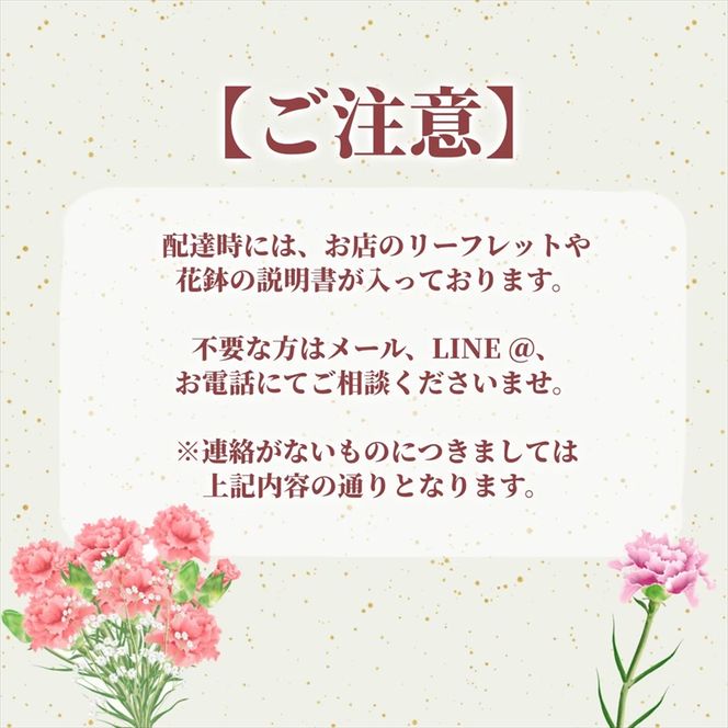 177-2291　【定期便年6回　季節の花鉢】農林水産大臣賞を受賞したフローリストがアレンジする 季節を知らせる花鉢【 花 お花 神奈川県 小田原市 】