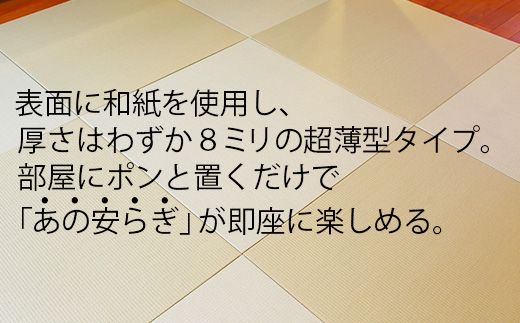 【置くだけでくつろげる畳空間に】 8ミリ置き畳「凪-NAGI-」 2枚  084003