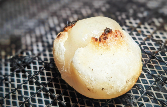 099H4041 老舗和菓子屋さんの杵つき生丸餅（白）12個＆こしあん 200g×3セット