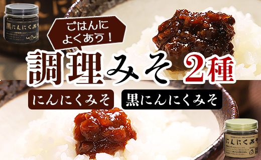 南国農家 ごはんによくあう！調理みそ2種(にんにくみそ、黒にんにくみそ) ng-0006