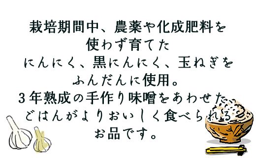 南国農家 ごはんによくあう！調理みそ2種(にんにくみそ、黒にんにくみそ) ng-0006